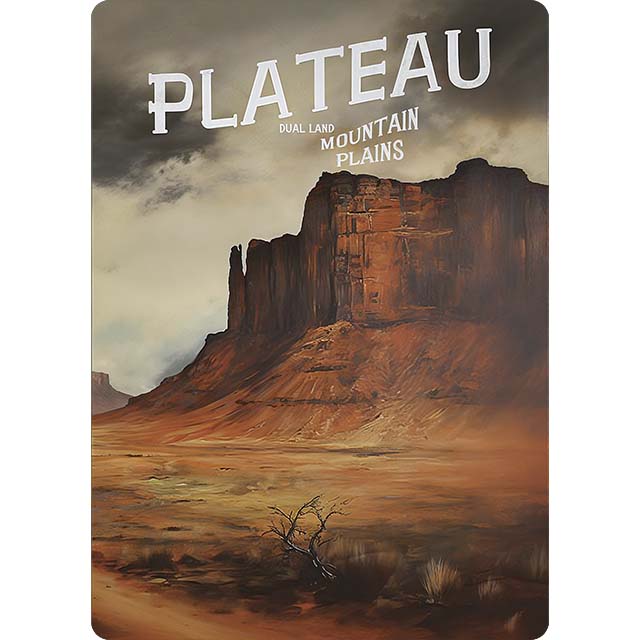 Plateau Vintage Plateau Vintage