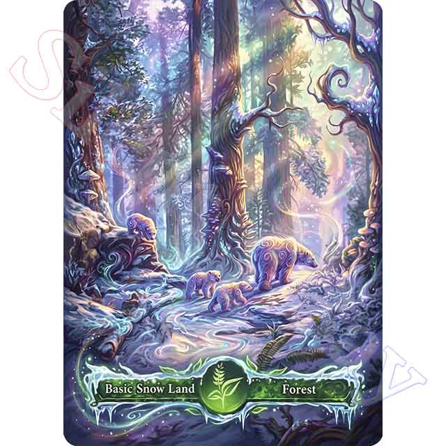 Snow-Covered Forest FT